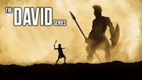 The David Series