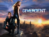 The Divergent Series