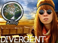 Divergent Amity Night