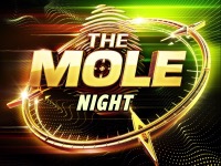 Mole Night Logo