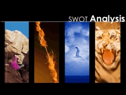 SWOT Analysis
